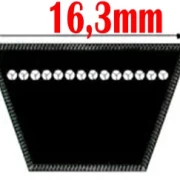 SPB