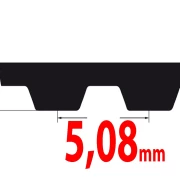 XL