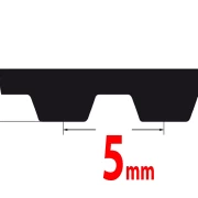 T5